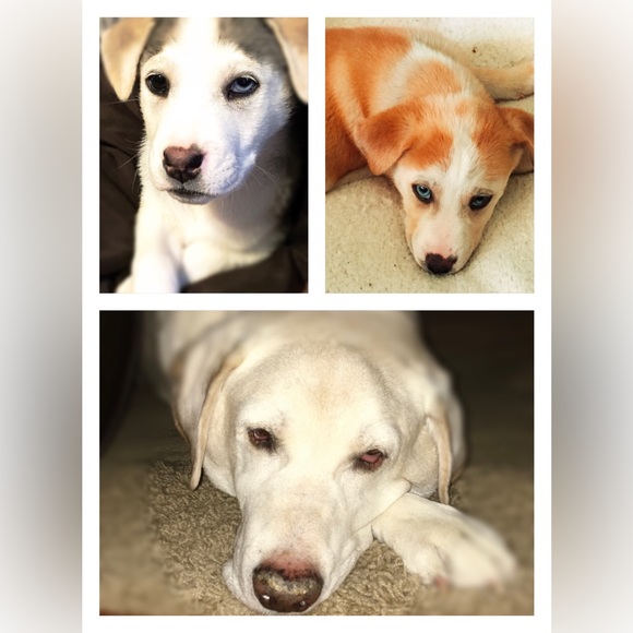 Meet your Posher, Fashioncense - Picture 8 of 12